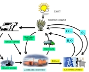 biogases-futura-fonte-de-energia-17