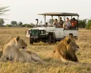 turismo-de-vida-selvagem-na-africa-3