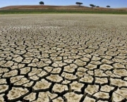 A Desertificação Avança (2)