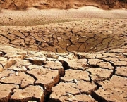 A Desertificação Avança (9)