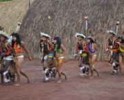 agenda-ambiental-para-terras-indigenas-1