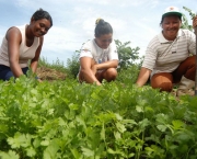 Mulheres cultivam Horta Organica

Assentamento Caraibas-Quixeramobim-Ceara