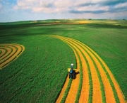 Agricultura Moderna (16)