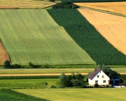 Agricultura na Europa (3)
