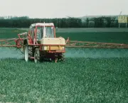 Agricultura na Europa (8)