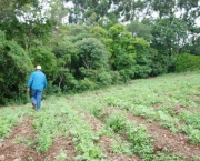 agroecologia-no-brasil-9