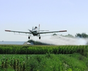 Agrotóxicos e Pesticidas (5)