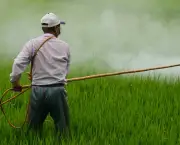 Agrotóxicos e Pesticidas (6)