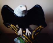 aguia-americana-11