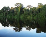 amazonia-colombiana-caracteristicas-ecologicas-8