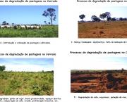 Ameaças ao Bioma do Cerrado (1)