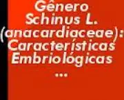 anacardiaceae-caracteristicas-gerais-6