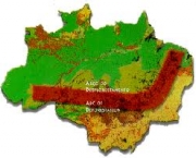 arco-do-desmatamento-na-amazonia-4