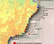 areas-protegidas-no-brasil