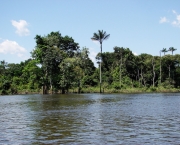 areas-protegidas-no-brasil-1