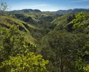 Reserva Natural Serra do Tombador, Fundacao O Boticario de Protecao a Natureza, Cavalcante, Goias, Brasil, foto de Ze Paiva, Vista Imagens.