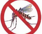 armas-caseiras-contra-o-mosquito-da-dengue-1