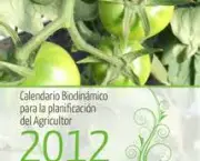 arroz-biodinamico-e-sustentabilidade-11