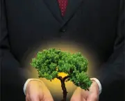 as-empresas-verdes-que-se-preocupam-com-o-meio-ambiente-3
