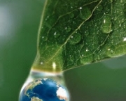 16 Oct 2001 --- World in a Dewdrop --- Image by Â© Firefly Productions/CORBIS