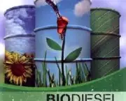 biodiesel-e-etanol-sustentaveis-2