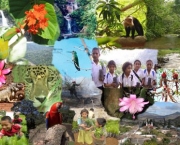 Biodiversidade - A Diversidade da Vida (4)