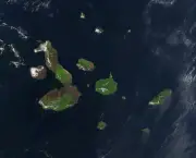 biogeografia-de-ilhas-teoria-geral-4