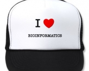 bioinformatica-caracteristicas-gerais-4