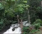 cachoeira-dos-pretos-em-joanopolis-origens-do-nome-2