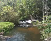 cachoeira-dos-pretos-em-joanopolis-origens-do-nome-7
