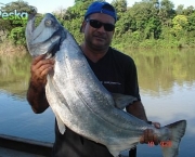 peixes-da-amazonia-2