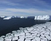 Características do Oceano Antártico (9)