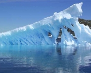 Características do Oceano Antártico (11)