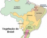 geografia-fisica-do-brasil-11