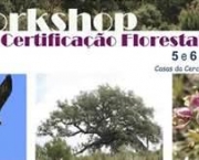 certificacao-florestal-fsc-4