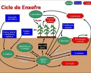 ciclo-do-enxofre-caracteristicas-gerais-5