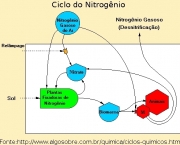 ciclo-do-enxofre-caracteristicas-gerais-1