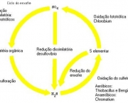 ciclo-do-enxofre-caracteristicas-gerais-4