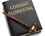 codigo-florestal-1965-5