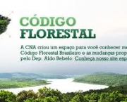 codigo-florestal-e-mega-obras-do-brasil-15
