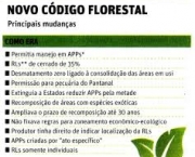 codigo-florestal-e-mega-obras-do-brasil-2