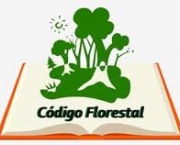 codigo-florestal-e-mega-obras-do-brasil-3