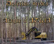 combate-a-desertificacao-principais-causas-no-brasil-5