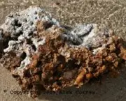 composicao-do-calcario-cimento-como-fertilizante-2