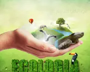 conceitos-a-respeito-de-ecologia-1
