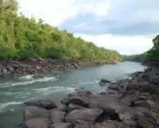 condicoes-dos-rios-brasileiros-3