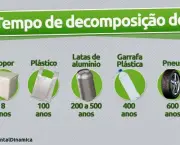 Decomposição do Lixo (4)