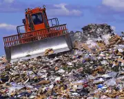 Decomposição do Lixo (7)
