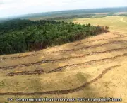 degradacao-florestal-no-brasil-2