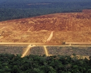 degradacao-florestal-no-brasil-5